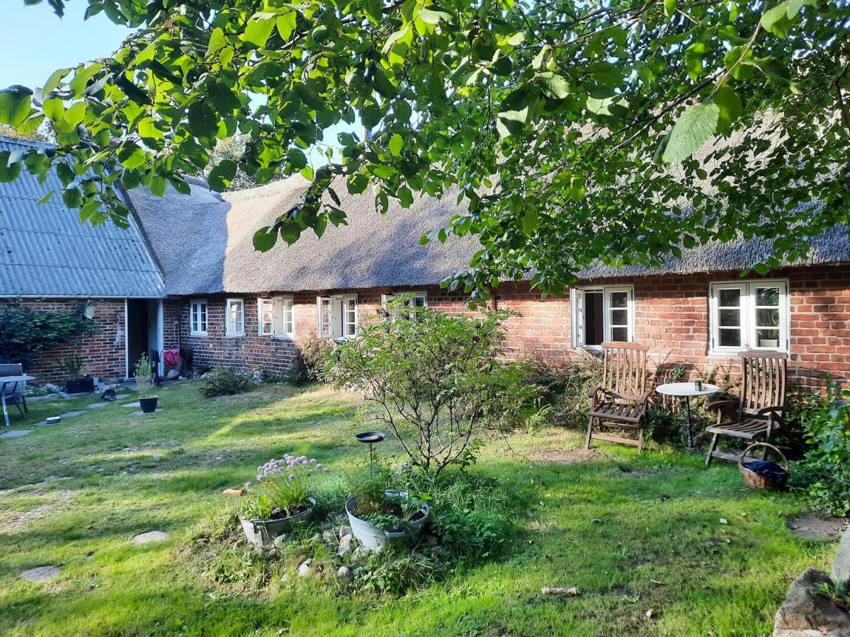 Ringkobing Fjord B&B Skjern Dış mekan fotoğraf